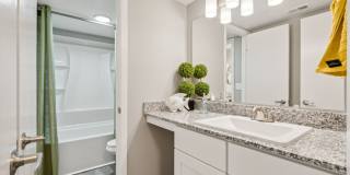 Buena Vista Gallery 12