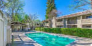 Terra Vida Gallery 1