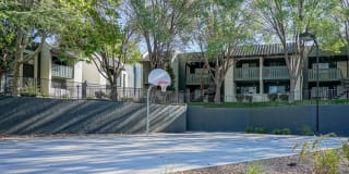 Treehouse Apartments Gallery 58