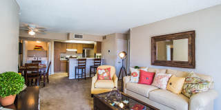 The Vistas Apartment Homes Gallery 14