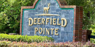 3288 Deerfield Pointe Dr. Gallery 44