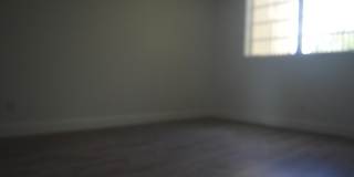 6091 NW 61st Avenue Gallery 17