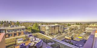 Queen Anne Collection Gallery 50