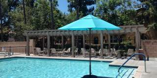 Move-in Ready! 3-Bedroom Skyview Ridge Townhome Gallery 10