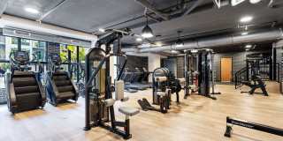 Aster & Links Gallery 28