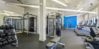 Rivera on Broadway Gallery 76