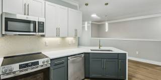 The Walton Gallery 5