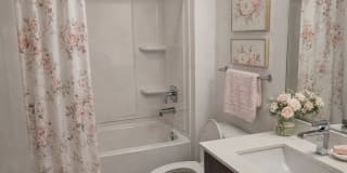 The Verge Gallery 19