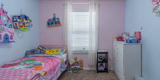 2831 Lavender Gallery 24