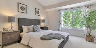 Beautifully Updated 2-Bed, 2-Bath Condo in Serene San Ramon Setting Gallery 17
