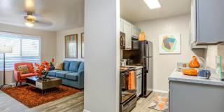 Agave Apartments Gallery 2