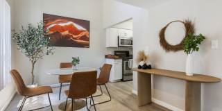 255 North Gallery 4