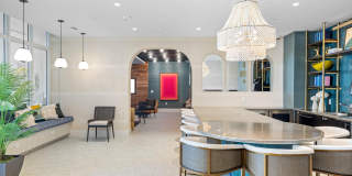 Tortoise One Gallery 22