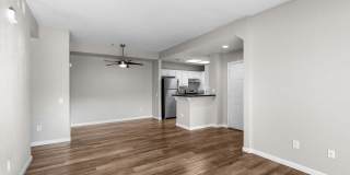 Avery at TownCentre Gallery 136