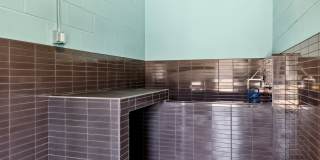 Esox House Gallery 101