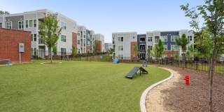 Bluebird on Seventy Gallery 31