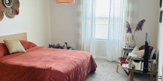 194 Mangrove Shade Circle Gallery 31