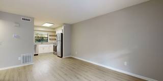 Updated 2 Bedroom / 1 Bathroom Apartment Gallery 7