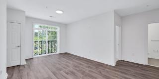 Reid's Prospect Gallery 5