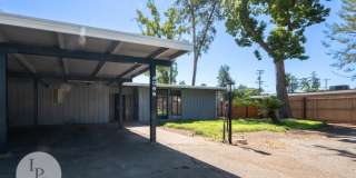Hoult: 4096 Gallery 1