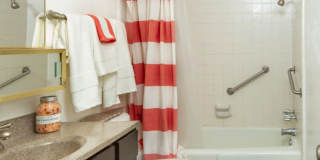 Country Woods Gallery 16