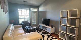 Modern 2-Bedroom, 2-Bath Home Modern 2-Bedroom, 2-Bath Home Gallery 1