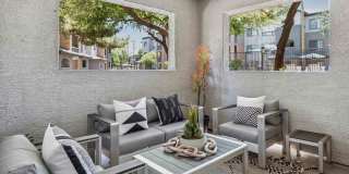 Lazo Gallery 14