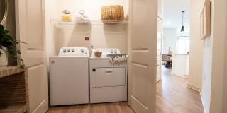 Sage North Gallery 11