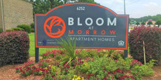 Bloom at Morrow Gallery 6