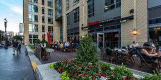 The Victor by Windsor Gallery 36