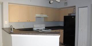 4211 San Marino Boulevard Gallery 4