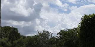 769 Northwest 170th Terrace Gallery 39