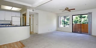 Ocean Crest Gallery 28