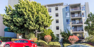 350 Vernon Gallery 1