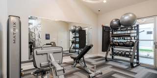 Aster at the Summit Gallery 22