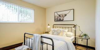 Spacious and immaculate townhomes! Gallery 9