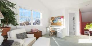 9 White Terrace Gallery 35