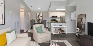 Coastal Bay Gallery 4
