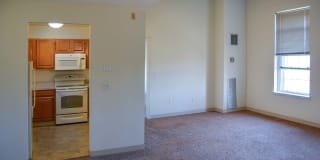 Massachusetts Mills III Gallery 13