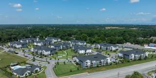 The Aster Gallery 39