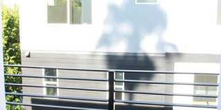 1552 Winona Blvd Gallery 18