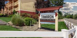 Tamaron Ranch Gallery 33