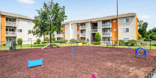 The Samuel Gallery 12