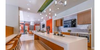 Berkshire Coral Gables Gallery 15