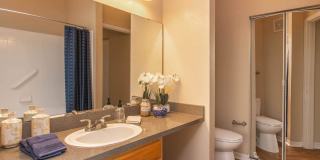 Vintage at Plantation Bay Gallery 54