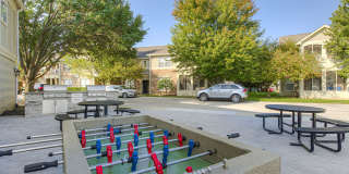 Linden Square Gallery 79