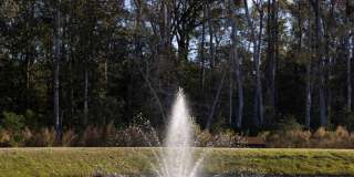 Chamberlain Pine Townhomes Gallery 24