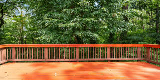 Spacious Mid Century Modern Arlington Home | Prime Location Near Clarendon & Metro Gallery 19