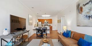 Encore North Gallery 5