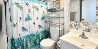 3938 Surfside Gallery 8